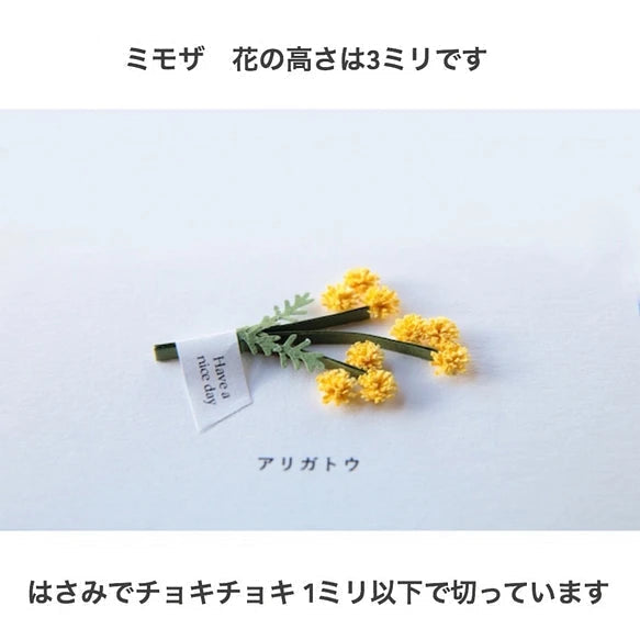 5枚セット 【和風】